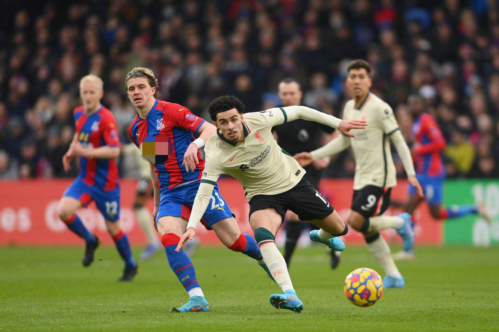 慎与智慧可 慎与智慧可